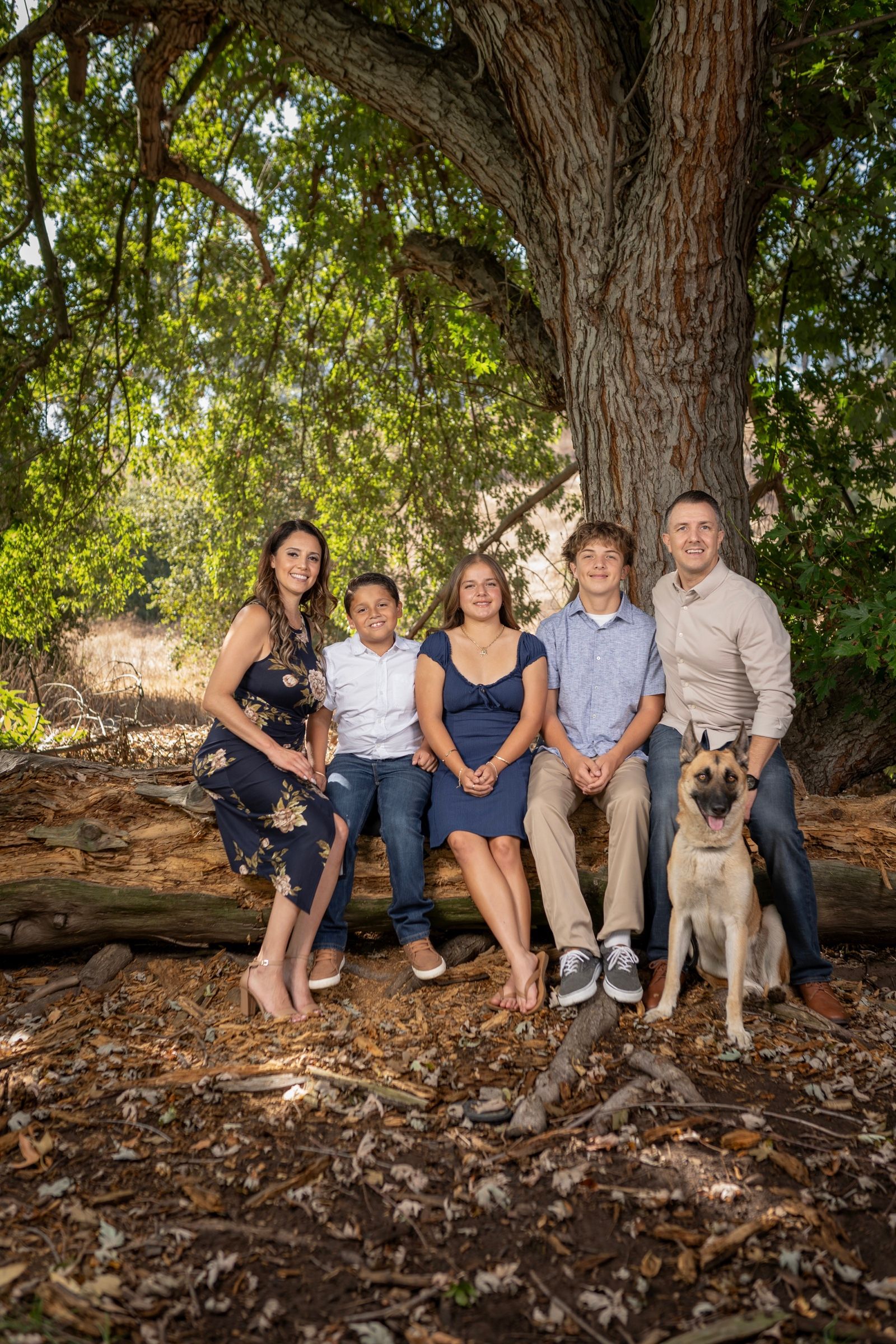 Family of five seated beneath a large tree with their German shepherd.